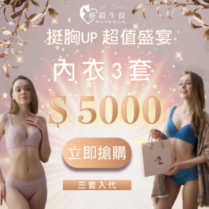 (現貨) 藝鑚-挺胸UP內衣-療癒藍&氣質粉